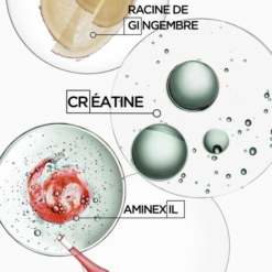 Ingrédients clés du sérum Genesis Homme : racine de gingembre, créatine et Aminexil