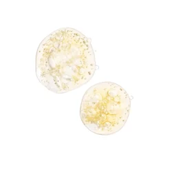 The Ordinary Caffeine Solution 5% + EGCG serum texture