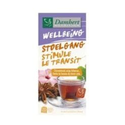 DAMBERT WELLBEING FAVORISE LA TRANSITE