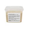DAVINES NOUNOU MASQUE CHEVEUX 250 ML