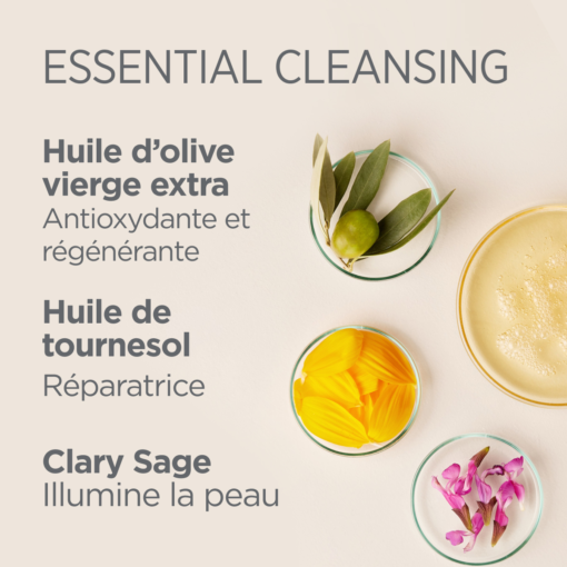 Ingrédients naturels d'ISDIN Essential Cleansing : huile d'olive, huile de tournesol, et clary sage.