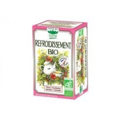 ROMON NATURE TISANE REFROIDISSEMENT BIO 20 SACHETS