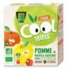VITABIO COOL FRUITS POMME ACEROLA Boite de 4