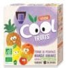 VITABIO COOL FRUITS POMME MANGUE ANANAS ACEROLA Boite de 4